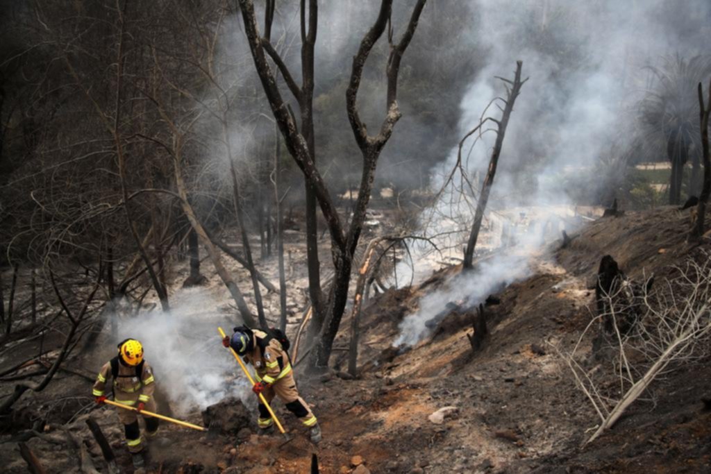 Ya hay 99 muertos por los incendios forestales en Chile