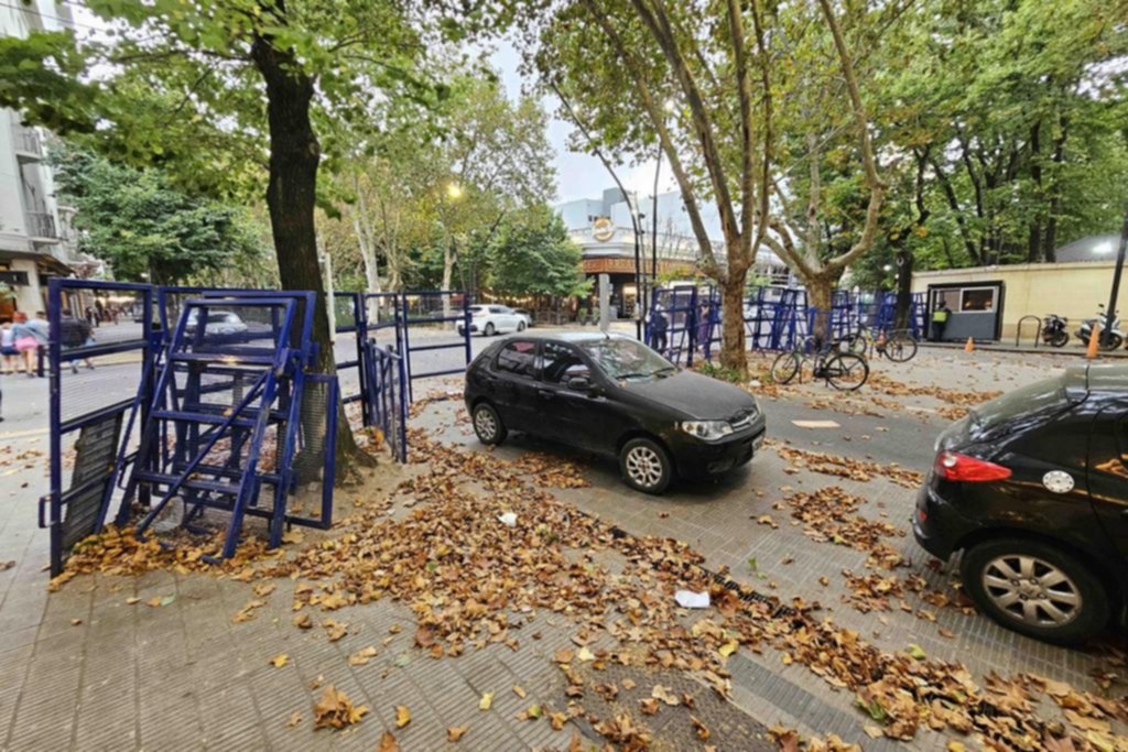 Los árboles sufren el calor y dan una postal de otoño