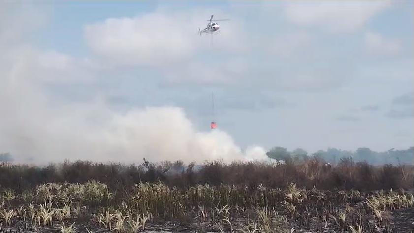 Otra vez el fuego en la Reserva de Punta Lara
