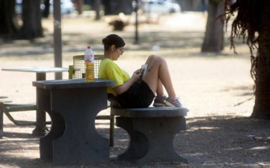 Cambio climático, cómo el calor extremo y la falta de lluvias causan estragos: este domingo en EL DIA