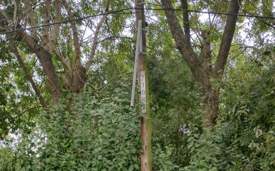 Una zona de San Carlos a oscuras por el robo de la luminaria pública: "Quedamos a oscuras"
