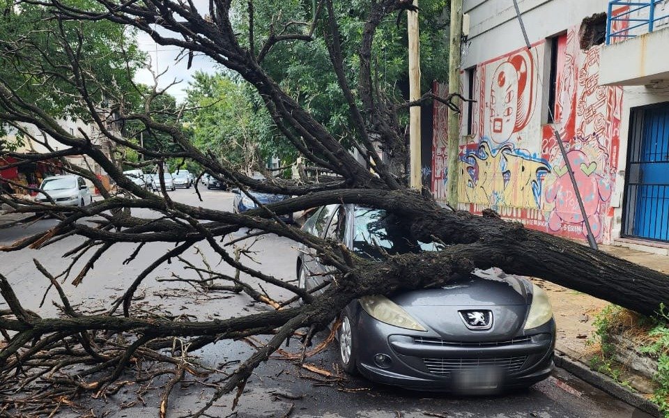 La tormenta en La Plata dejó calles anegadas, cortes de luz y árboles caídos