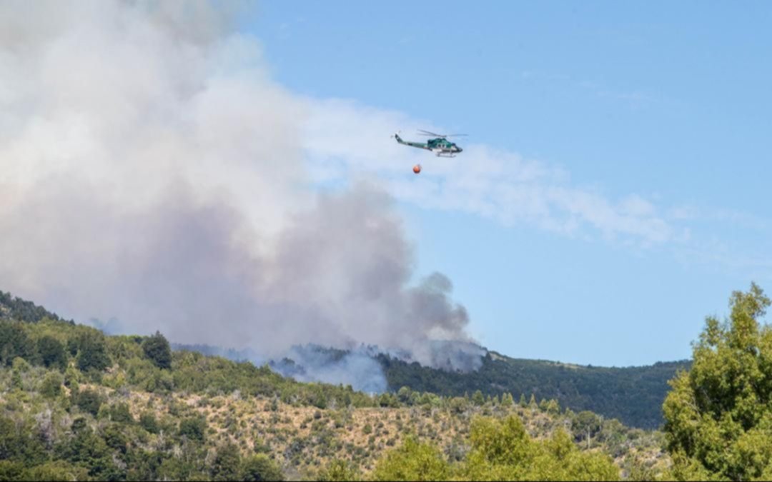Aseguran que el incendio en el Parque Nacional Los Alerces está "activo, pero apaciguado"