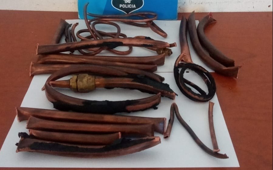Un hombre fue detenido en La Plata tras ser acusado de robar bronce en la Facultad de Veterinaria