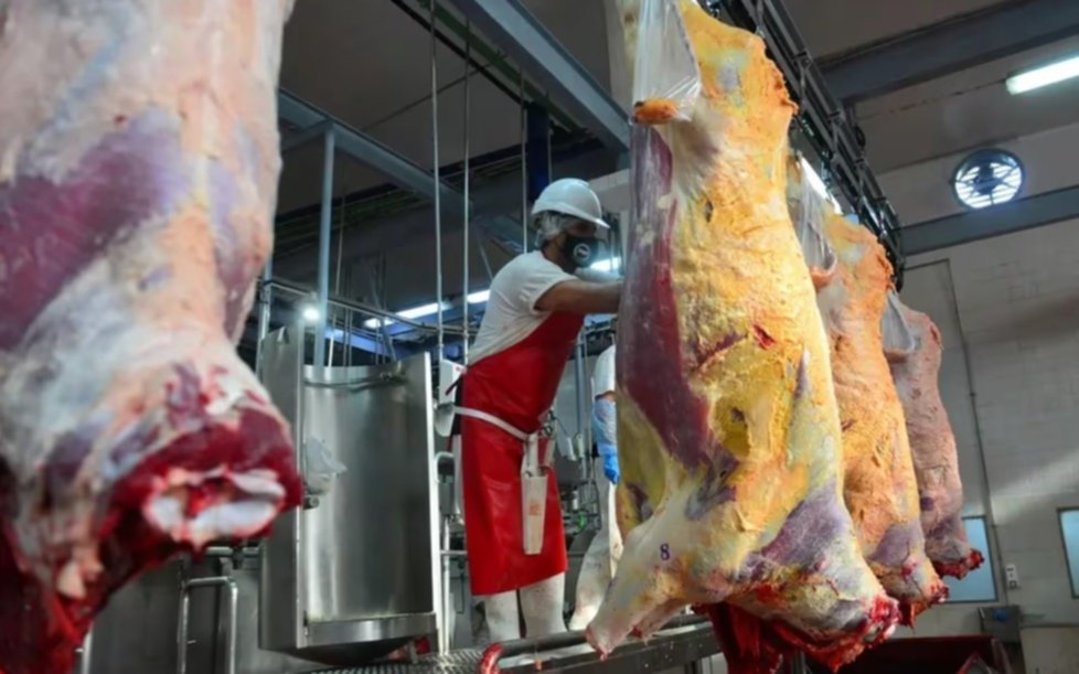 Miguel Schiariti: "Todo parece indicar que Milei va a dejar trabajar a la industria de la carne"