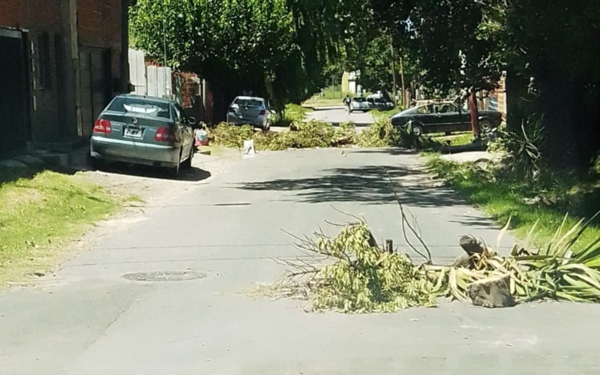 Villa Elvira: a casi una semana de la tormenta, una calle continúa cortada por ramas en el asfalto