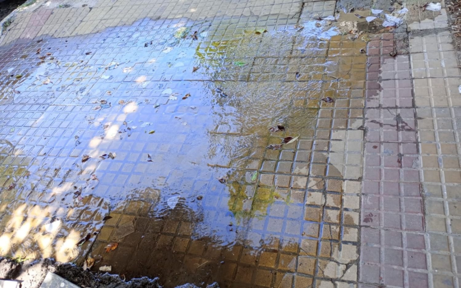 A la espera de la solución de ABSA, los vecinos se hacen cargo de las pérdidas de agua