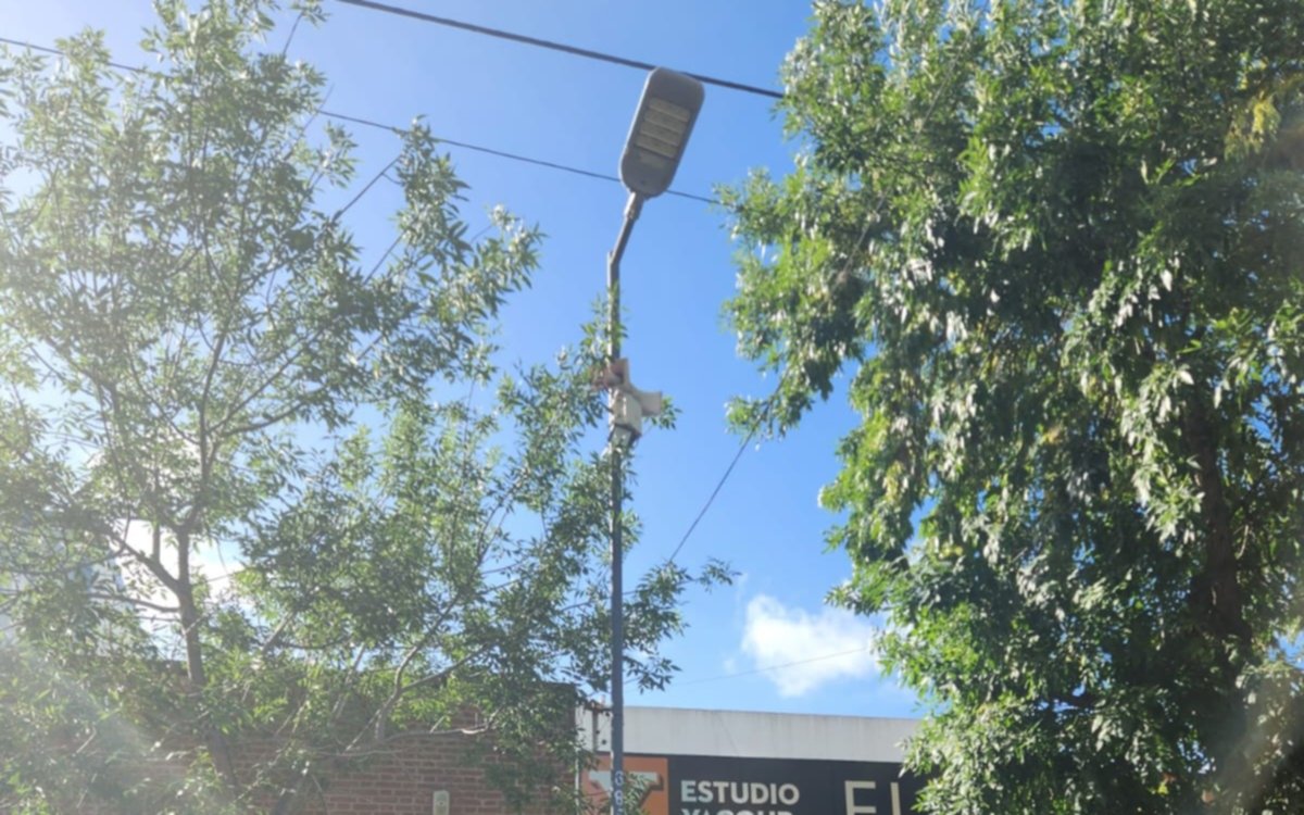 Piden la reparación de un poste de luz en el Centro: "Estamos a oscuras y los ladrones aprovechan"