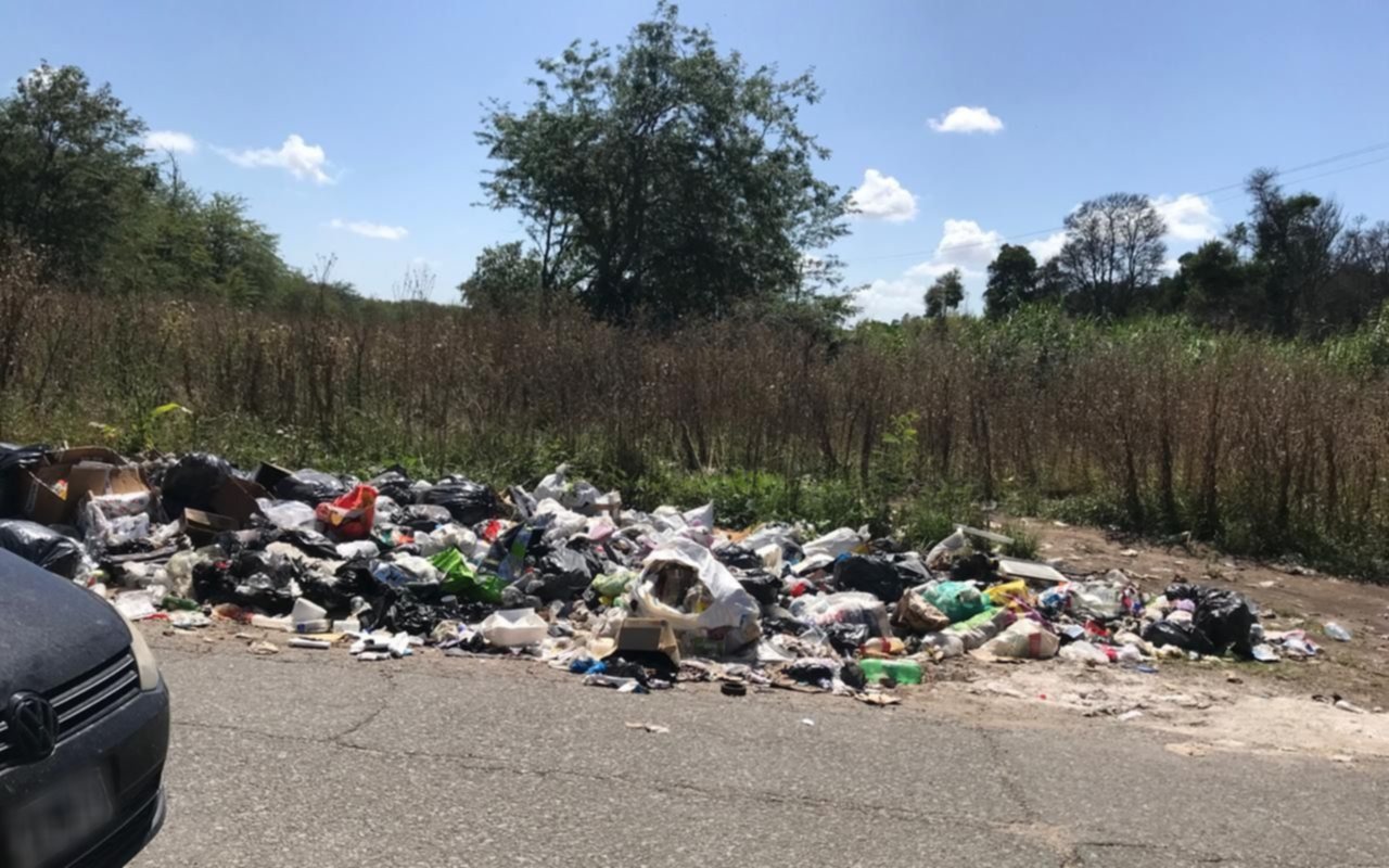 Ola de reclamos en La Plata por acumulación de basura: "El olor es nauseabundo y hay hasta ratas"