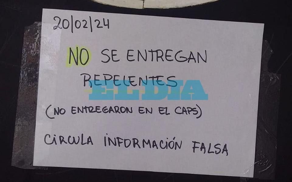 Invasión de mosquitos en La Plata: vecinos aseguraron que "no se entregan repelentes" en salitas y delegaciones