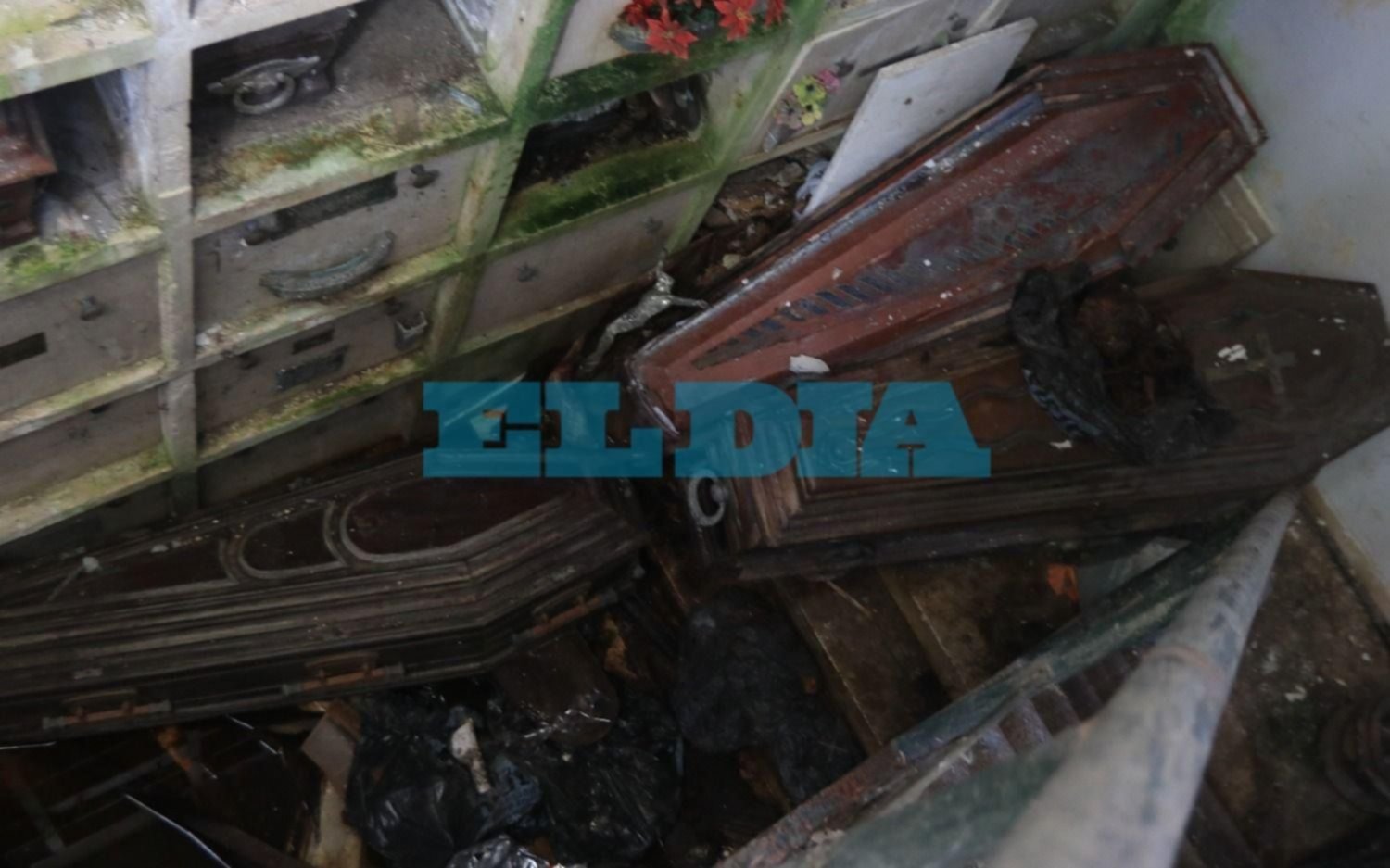 Fotos | Ataúdes apilados, huesos desparramados y los "22 angelitos": escena "de terror" en el cementerio de La Plata
