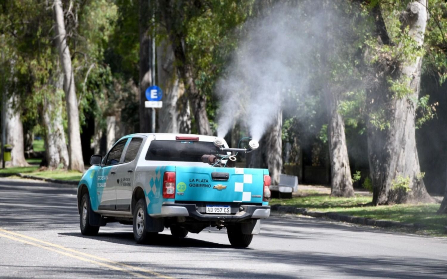 En La Plata, los mosquitos no paran de picar: fumigaron varios pulmones verdes de la Ciudad