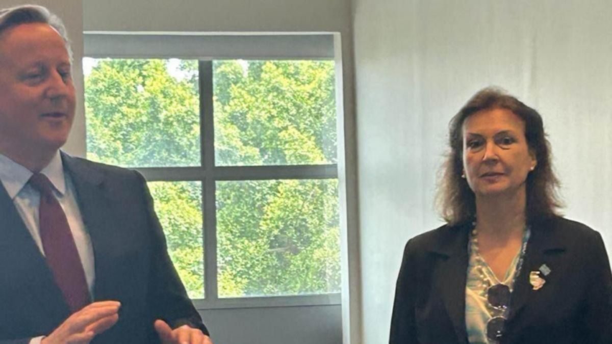 Mondino cruzó a Cameron por Malvinas y expresó el malestar del Gobierno