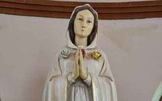 Robo en el santuario de la Rosa Mística: "Bajaron la escultura de la Virgen, le sacaron la corona y huyeron"