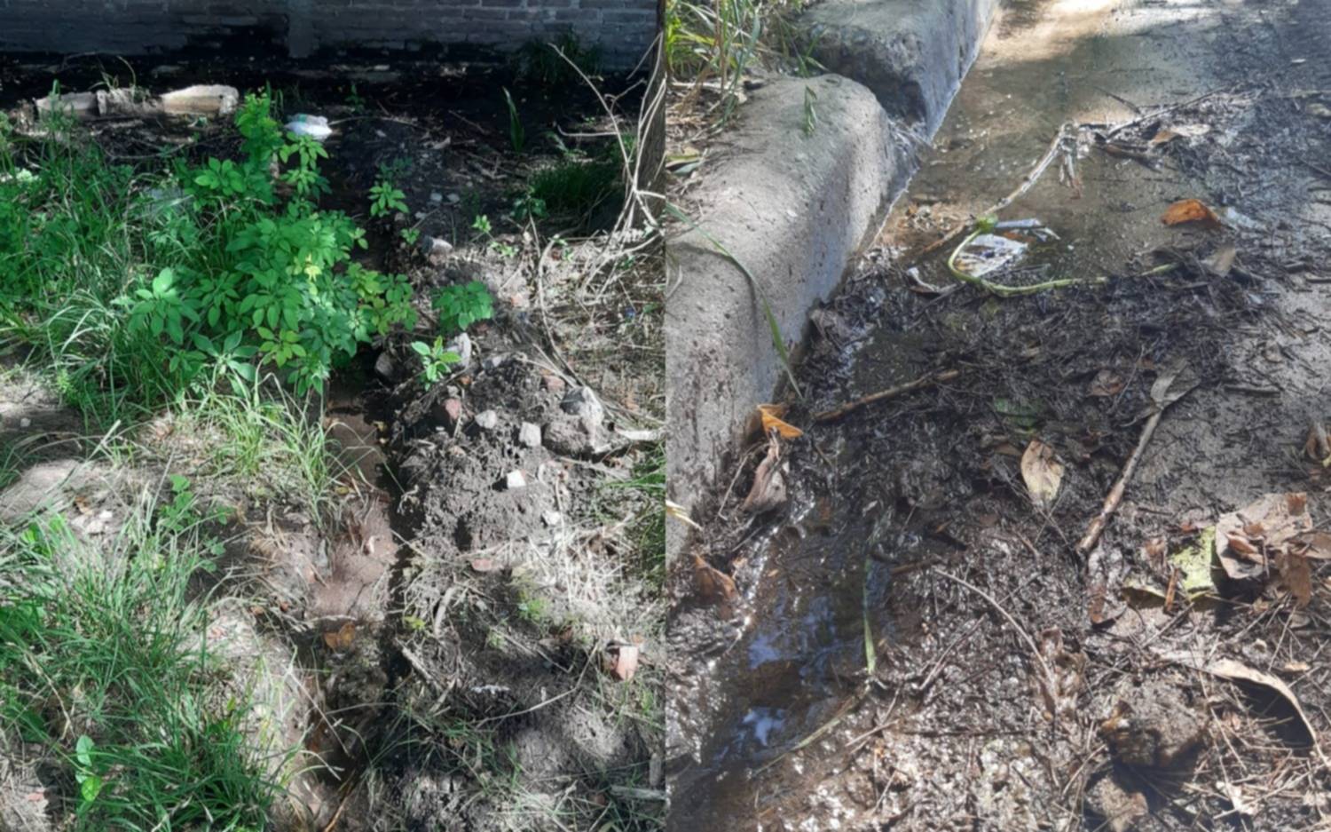 Un sector de San Carlos lleva cuatro meses esperando el arreglo de una pérdida de agua