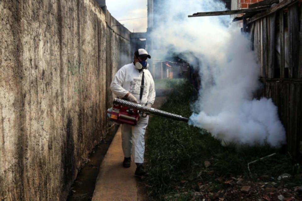 El dengue se vuelve endémico: los casos crecieron en forma exponencial