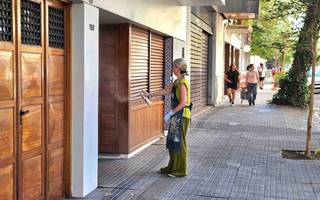 Mosquitos en La Plata: "Tendremos que convivir 20 días", afirman especialistas