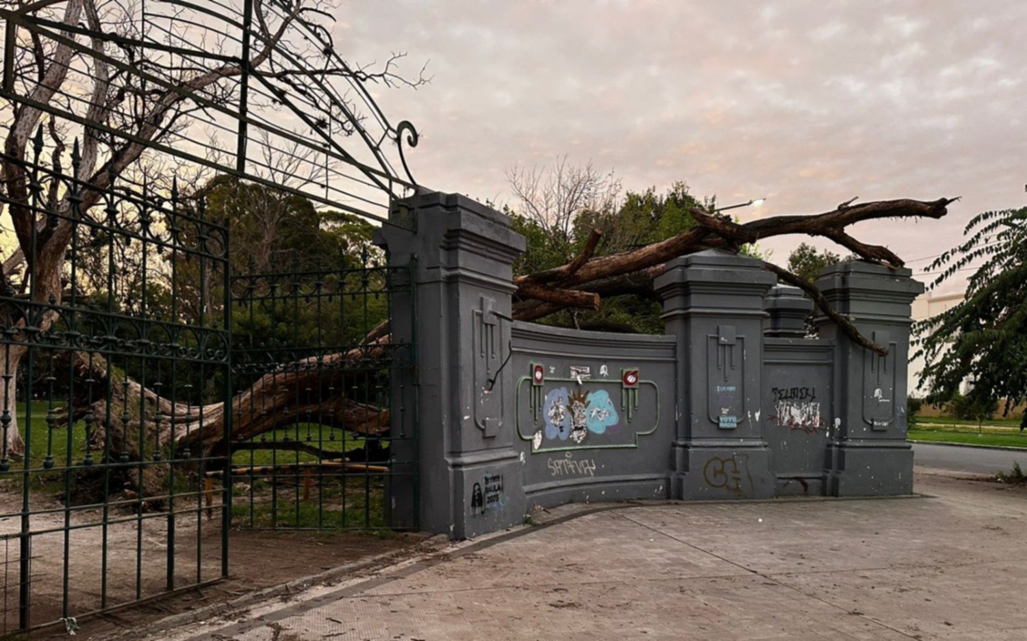 Malestar vecinal por un árbol caído en el Parque Saavedra