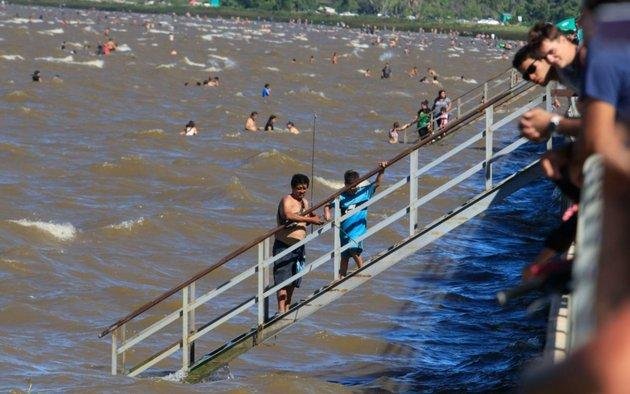 Las cianobacterias volvieron a prender el semáforo de las alertas en el Río