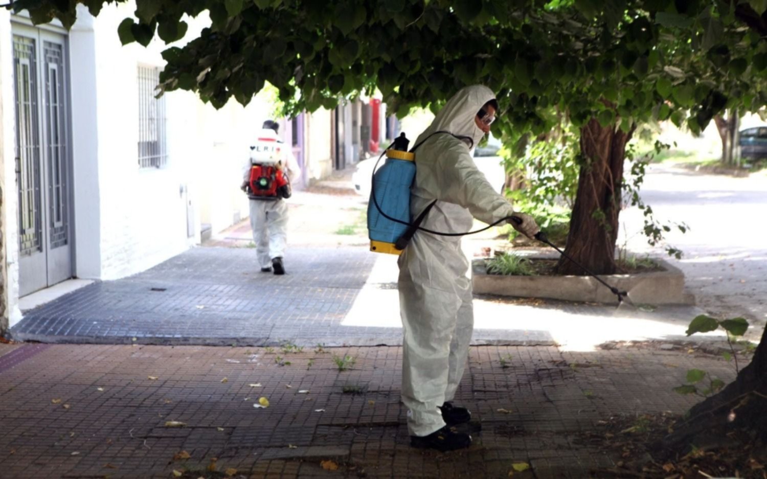 La Plata: confirman otro caso de encefalitis equina en humanos