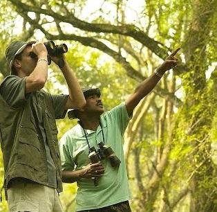 Lanzan una herramienta gratis para identificar más de mil aves argentinas