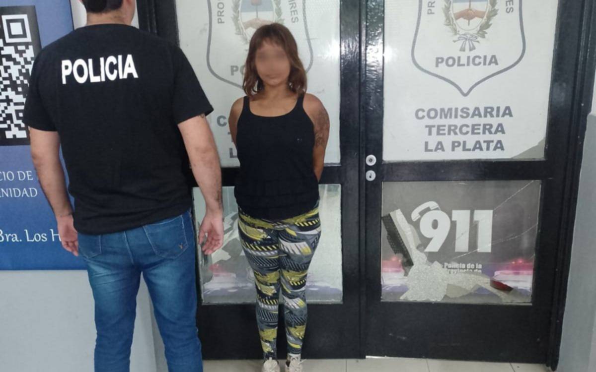 Una mujer detenida por robar mercadería en un supermercado chino de Los Hornos