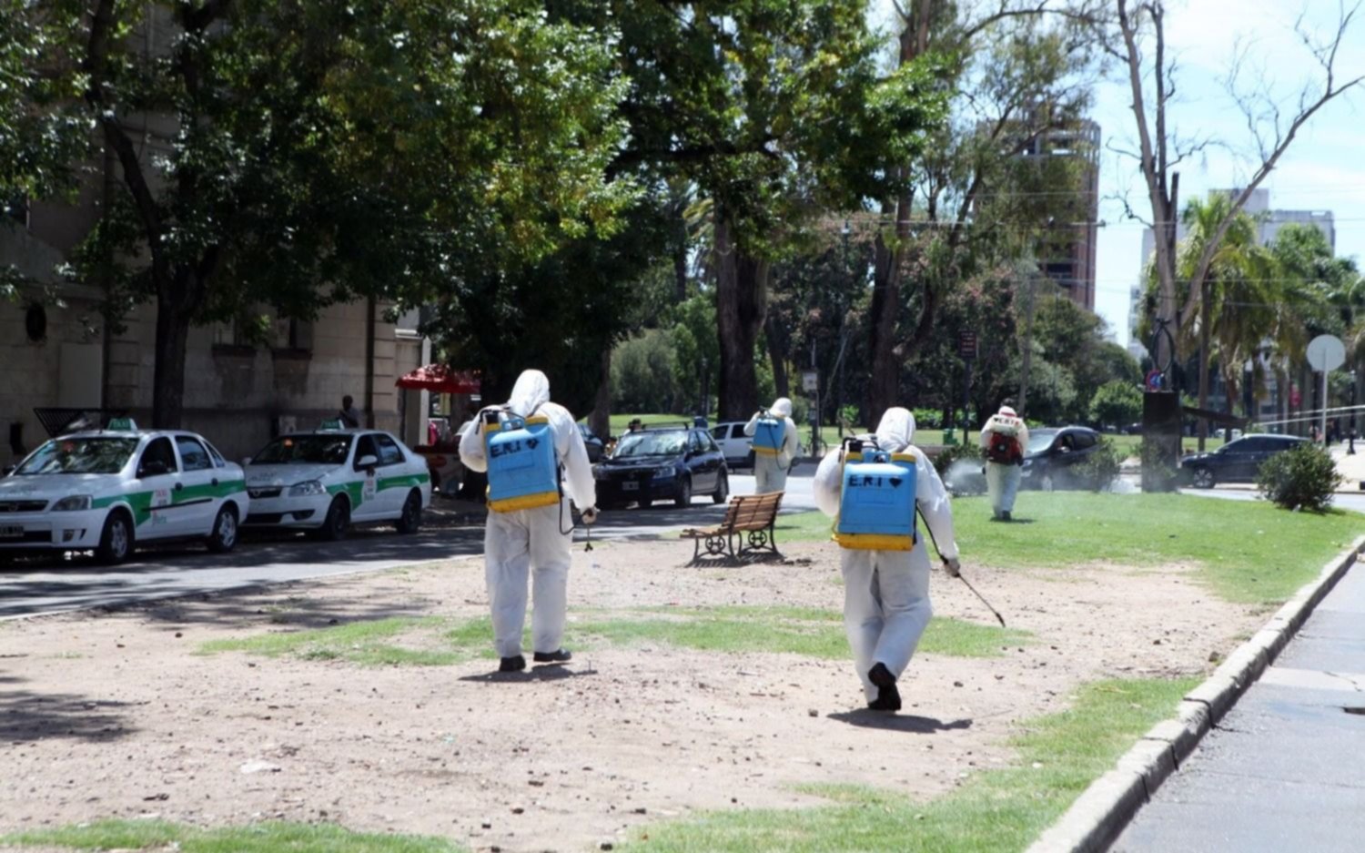 Batalla contra el dengue: barrio por barrio, los puntos de fumigación de este martes en La Plata