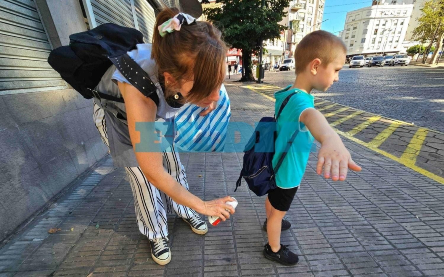 La Plata en alerta por el dengue: “Una situación muy compleja”, advirtió la Provincia