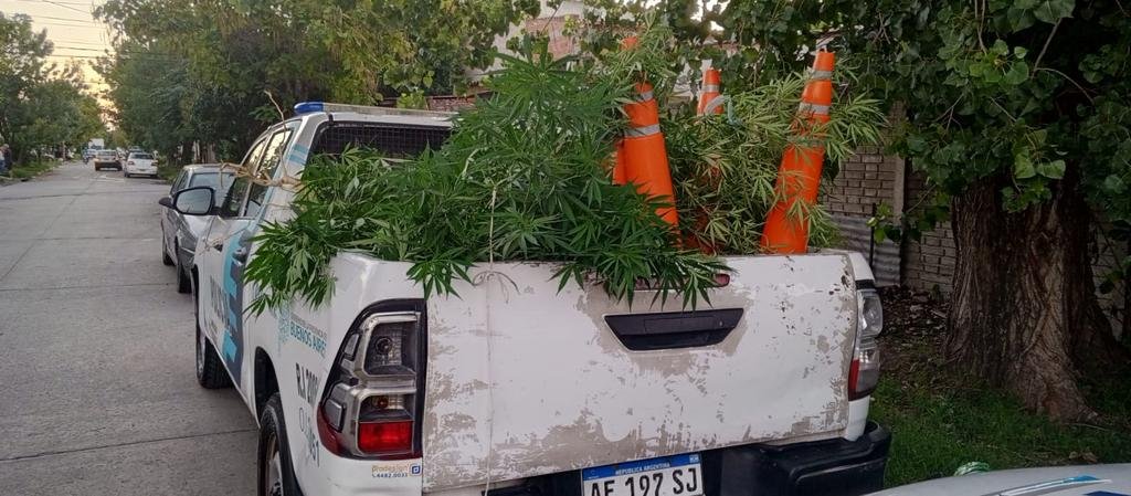 Detenidos con marihuana en Ensenada