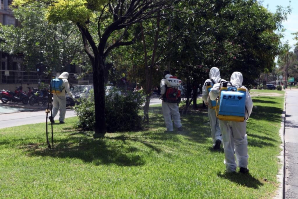 Siguen subiendo los casos: declaran un brote de dengue en la Ciudad