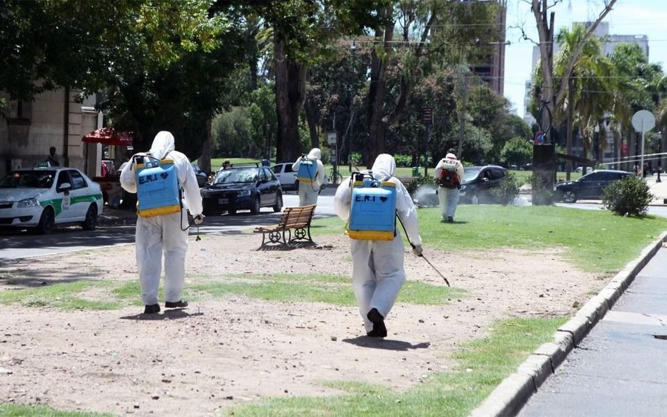 El brote de dengue en La Plata: la curva de contagios y cómo impacta la invasión de mosquitos