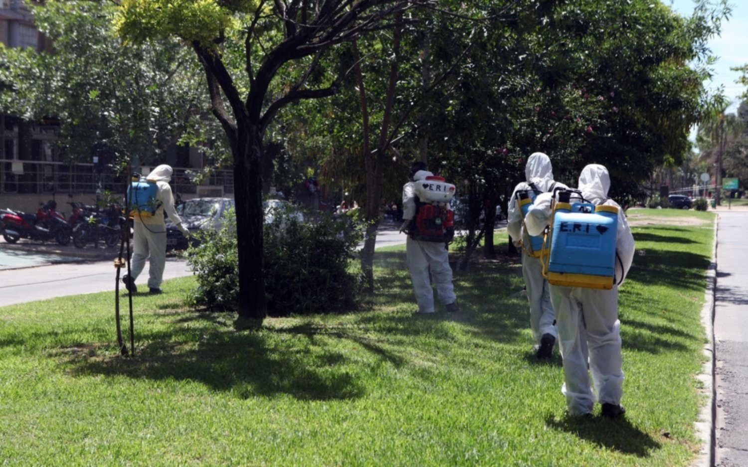 Barrio por barrio, así continuará la fumigación contra los mosquitos en La Plata hoy jueves