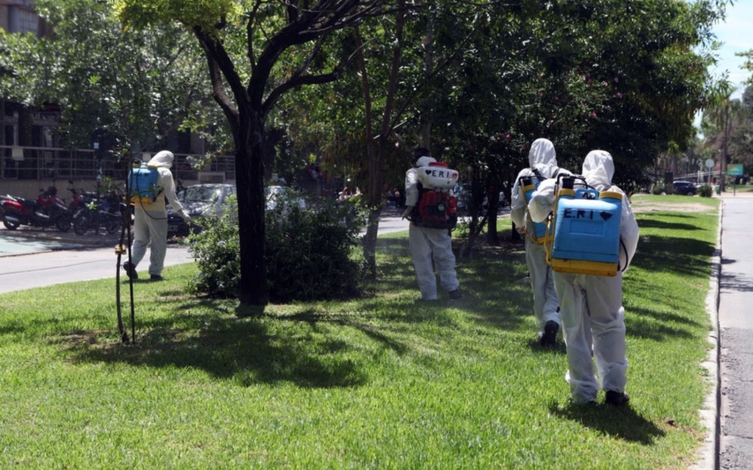 Lucha contra el dengue en La Plata: la fumigación de este jueves, barrio por barrio