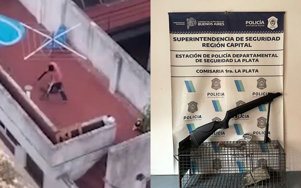VIDEO. Rifle y jaula trampera: allanaron al "matagatos" de La Plata que le dispara a los felinos
