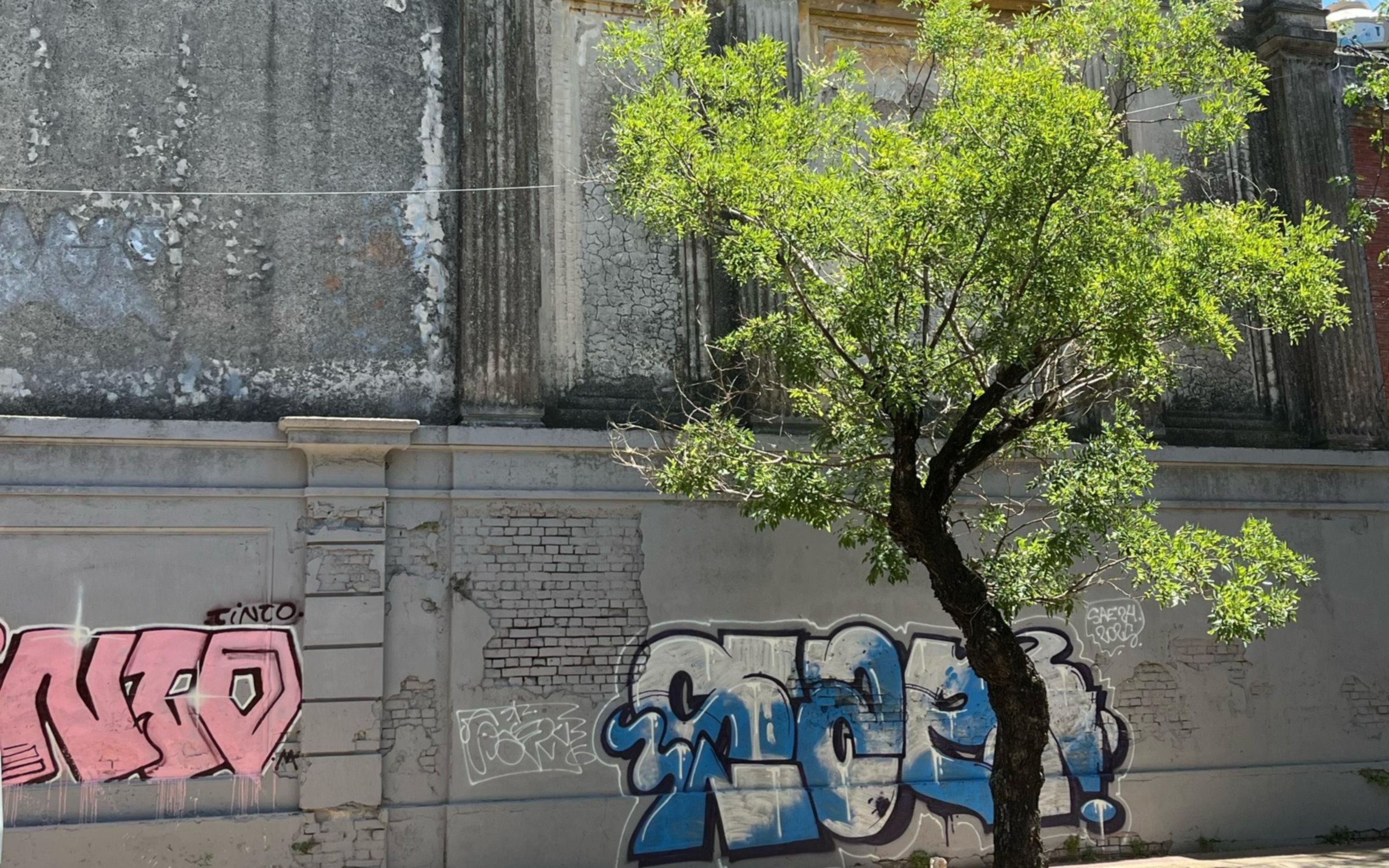 Indignación en La Plata: vandalizaron las paredes del Arzobispado a un mes de ser restauradas