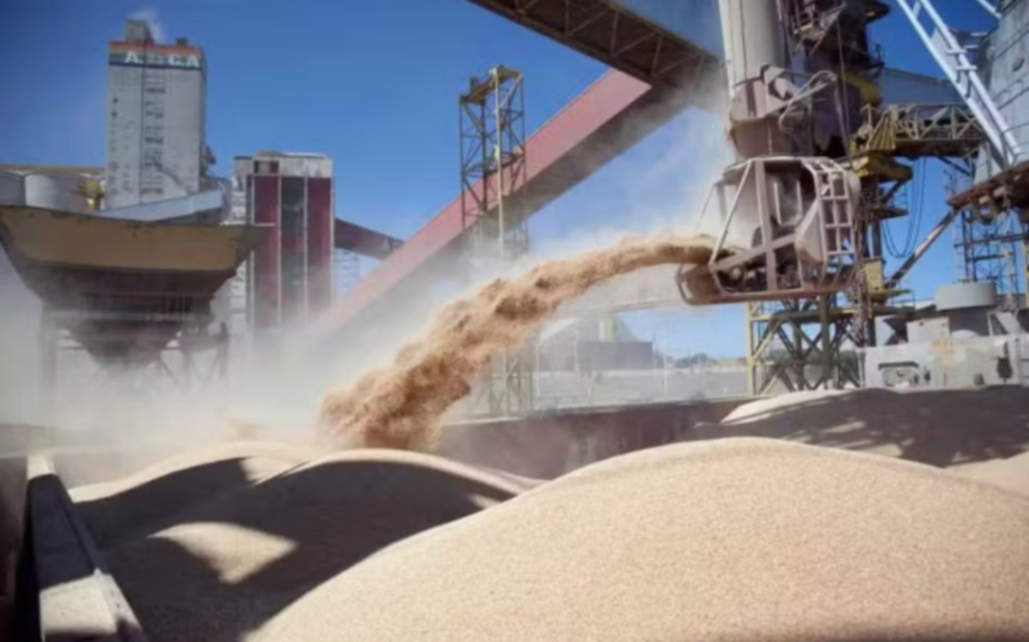 Crece la Liquidación de Divisas del Sector Aceitero y Cerealero en Argentina