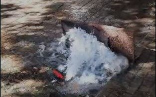 Una "fuente" en plena vereda del centro de La Plata