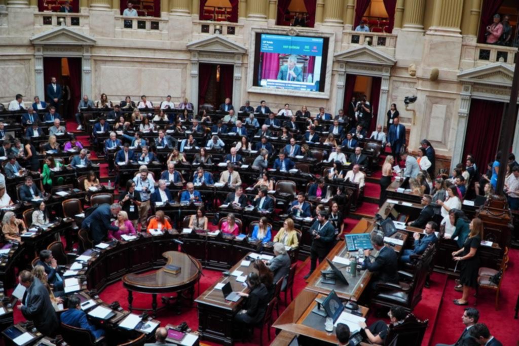 Suspensión de las PASO: triunfo oficialista en un tema que dividió a casi todos los bloques