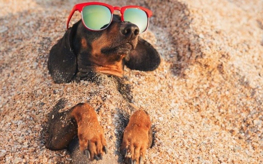 Sol y calor este viernes en La Plata: ¿se viene un finde al rojo vivo?