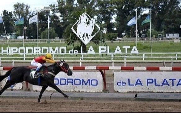 La Provincia habilita el pago electrónico con QR de apuestas en agencias de loterías, bingos e hipódromos