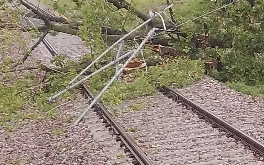 Árboles caídos, autos aplastados y demoras en el Tren Roca por el temporal en La Plata