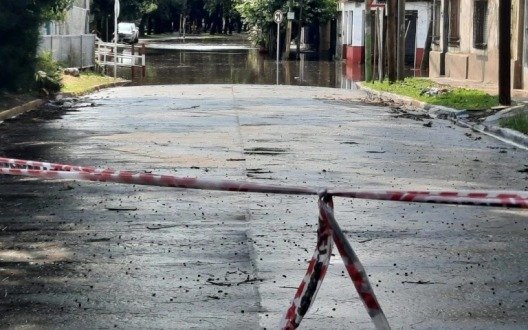 El temporal dejó árboles caídos y calles anegadas