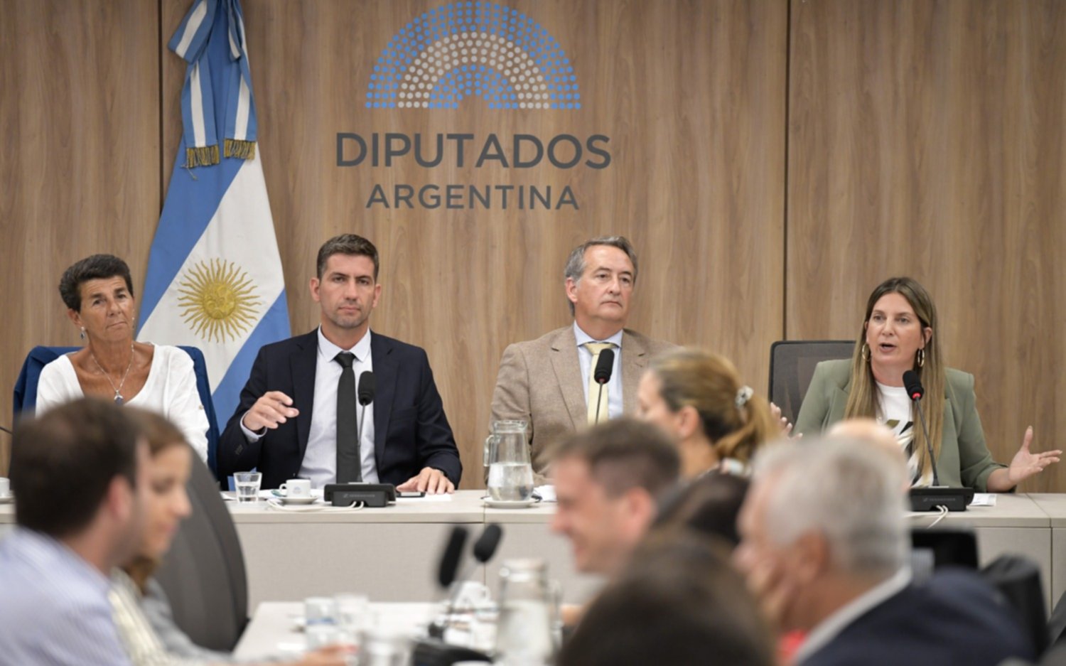 Se destrabó Ficha Limpia y mañana habría media sanción en Diputados