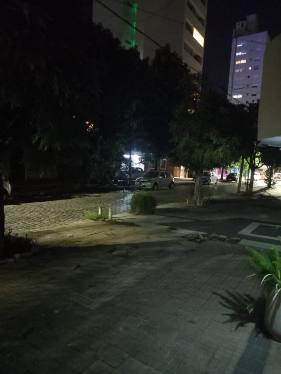En la zona de Parque Saavedra, una cuadra que es “una tentación para robar”