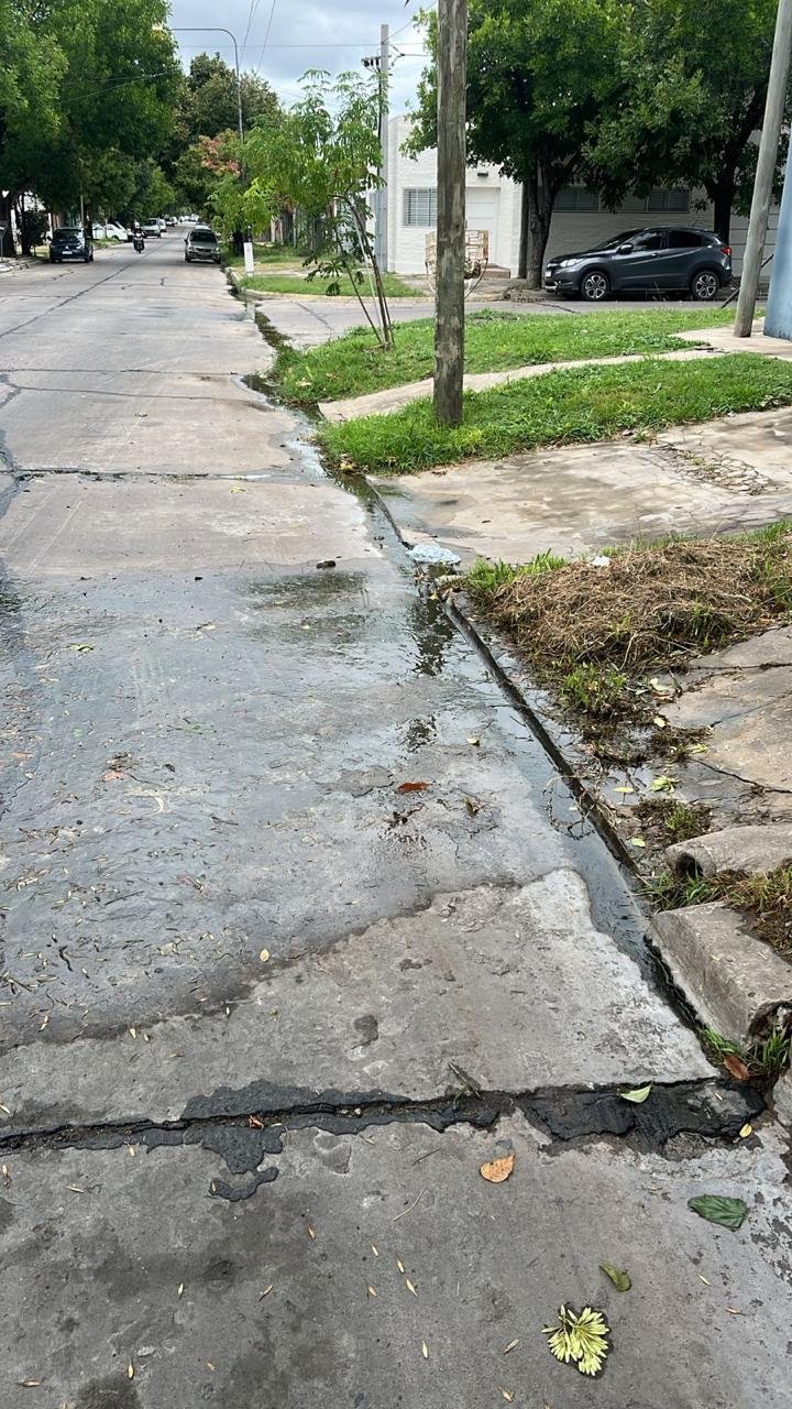 En 30 y 36, una pérdida ya formó un charco con verdín: peligro y baja presión