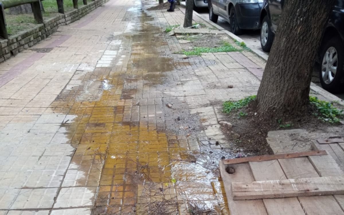 "Una pérdida inmensa": vecinos de Barrio Hipódromo, hace 10 días rodeados de agua