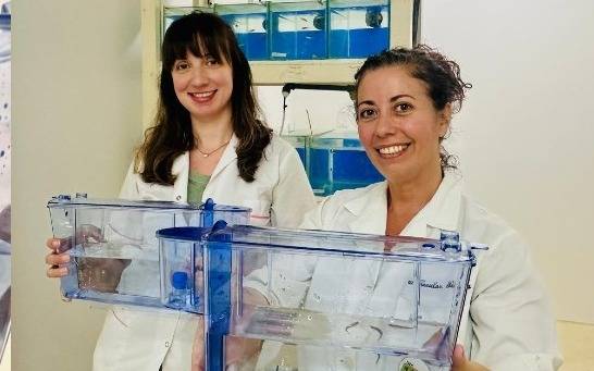 Universidad Nacional de Quilmes creó primer acuario certificado por ANMAT en Argentina