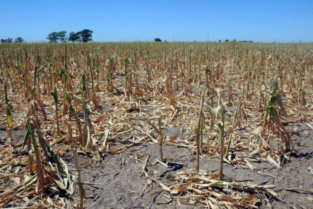 Se debilita La Niña: la reemplazaría un ciclo neutral
