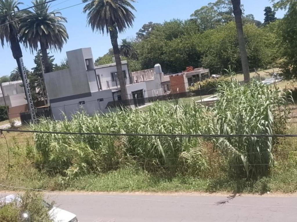 En un barrio de Villa Elisa junto a las vías reclaman tareas de higiene urbana