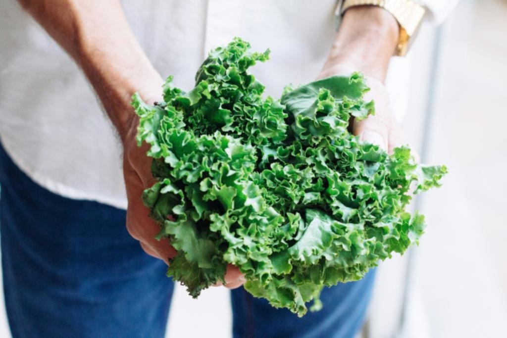Los vegetales verdes: infaltables en la mesa para una dieta equilibrada